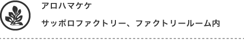 アロハマケケ　サッポロファクトリー、ファクトリールーム内